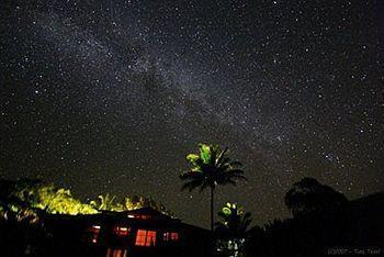 Macadamia Meadows Farm Bed & Breakfast Naalehu Buitenkant foto
