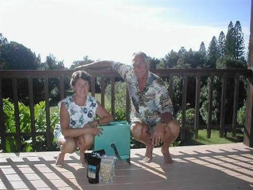 Macadamia Meadows Farm Bed & Breakfast Naalehu Buitenkant foto